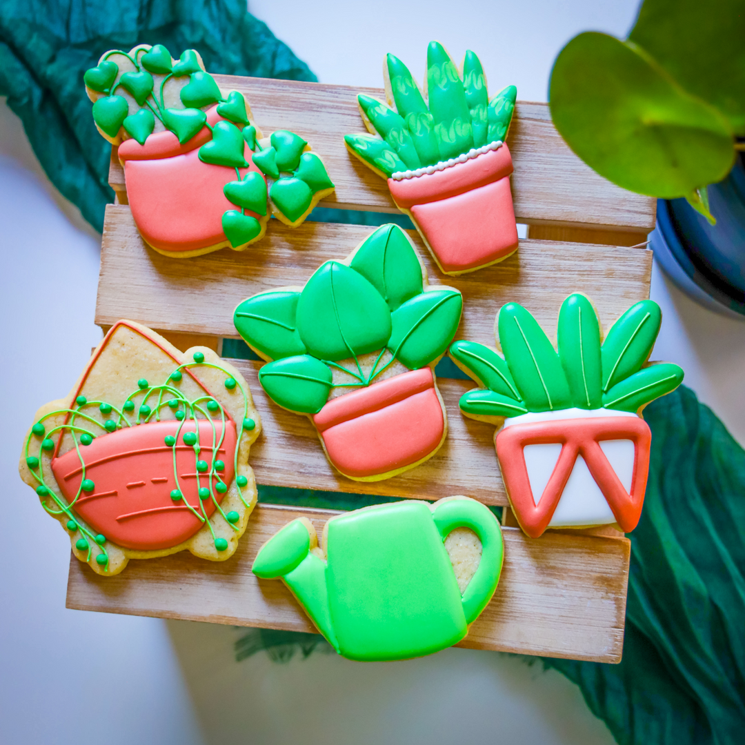 Cookie Decorating Class | Sugary Shrubs